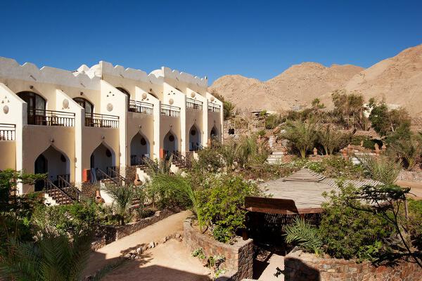 Bedouin Moon
