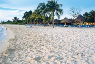 Occidental Allegro Cozumel